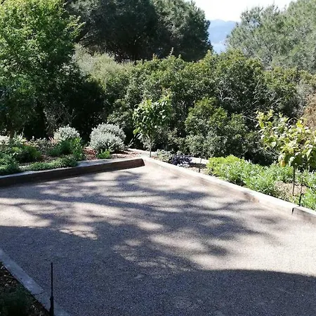 La Carat