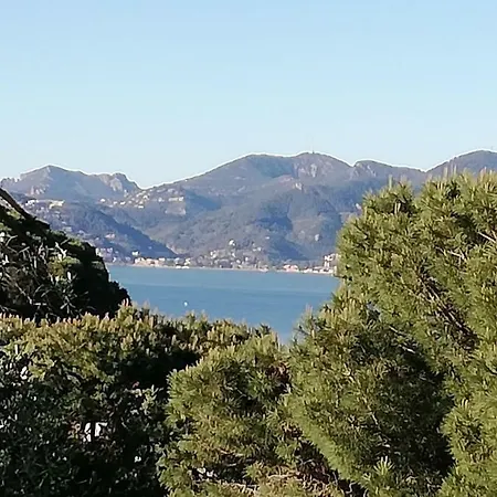 La Carat Lejlighed Cannes